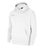 Dri-FIT Park 20 Hoodie