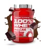 100% Whey Protein Professional