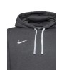 Dri-FIT Park 20 Hoodie