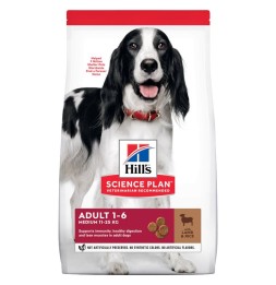 Hill's Science Plan Adult 1-6 Medium