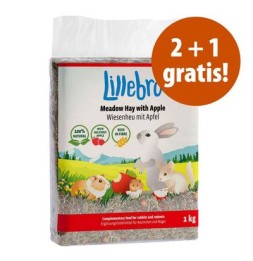 2 + 1 gratis! Lillebro...
