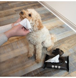 Kooa Salviette igienizzanti per cane