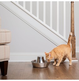 Fontana riviera PetSafe in acciaio inox