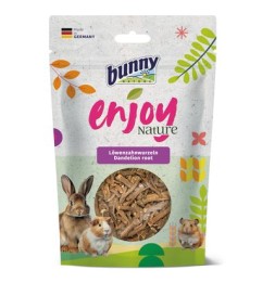Bunny Enjoy Nature con...