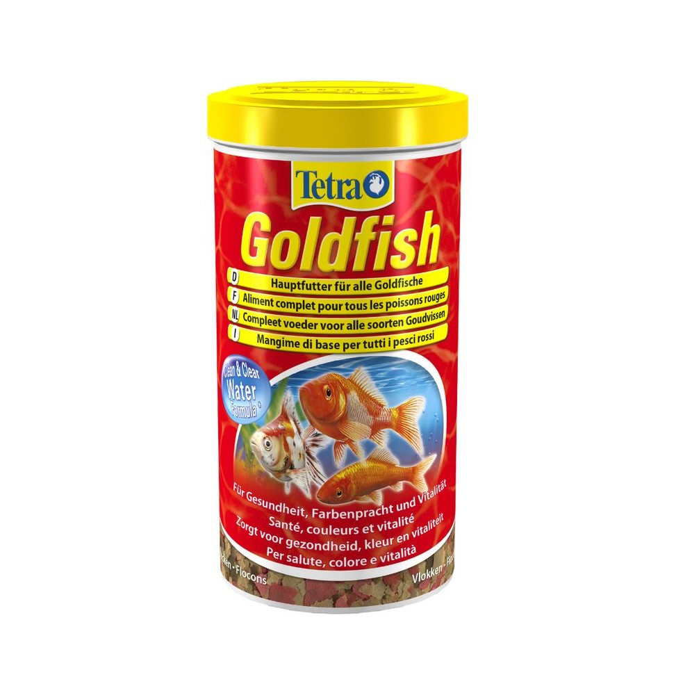 Tetra Goldfish
