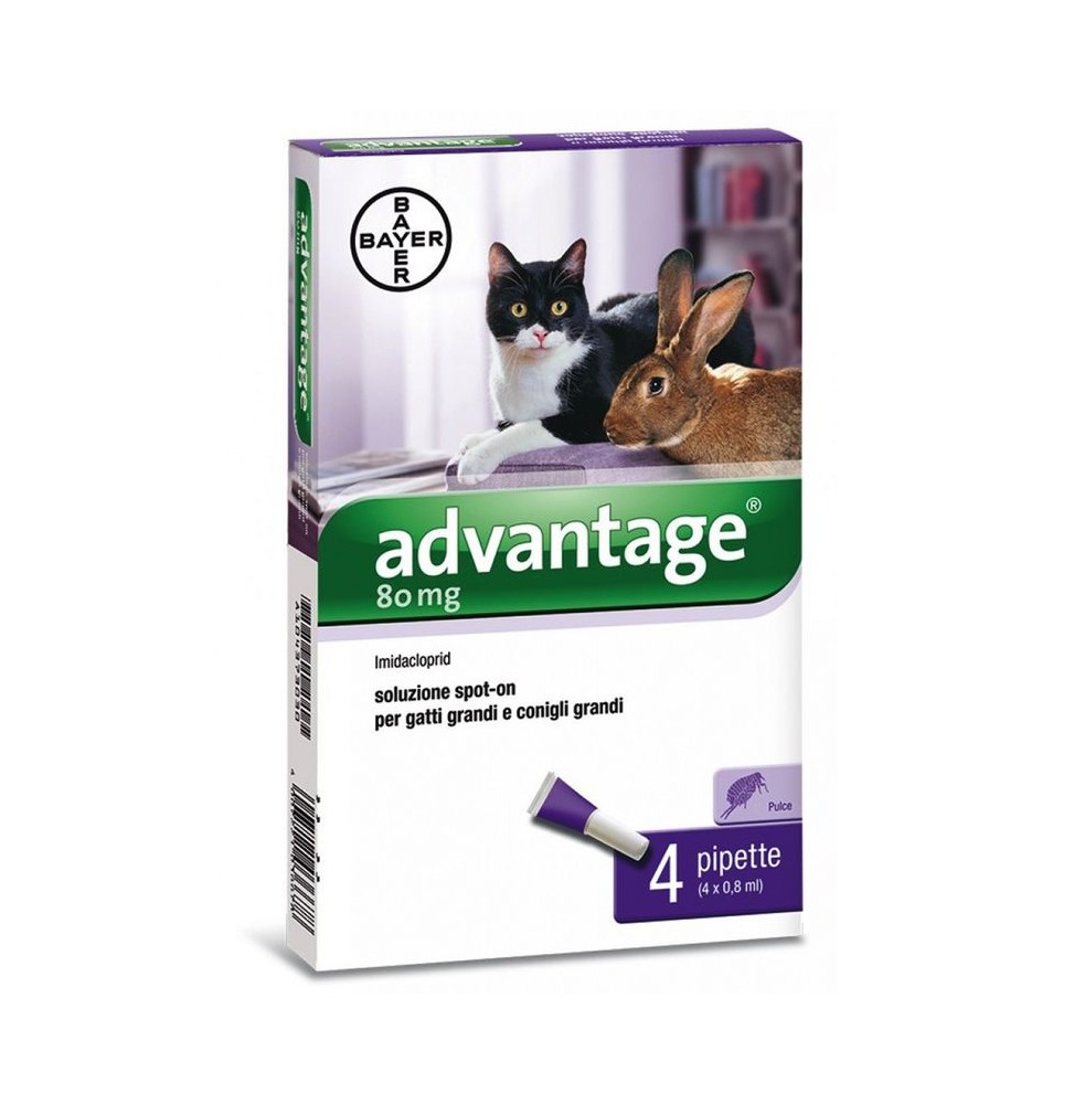 Advantage soluzione spot-on per gatti