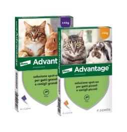 Advantage soluzione spot-on per gatti