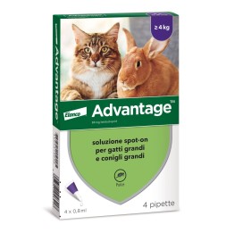 Advantage soluzione spot-on per gatti