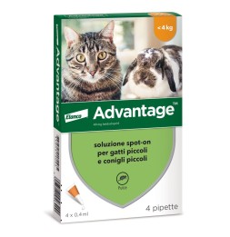 Advantage soluzione spot-on per gatti
