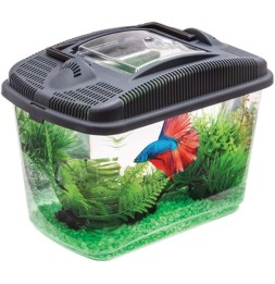 Aquael Betta Kit 1000 g