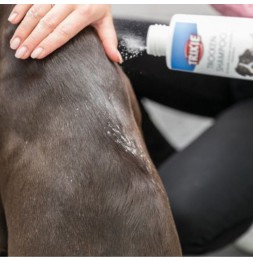 Trixie Shampoo secco per cani, gatti e piccoli animali