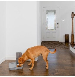 Distributore automatico di alimenti 2 pasti PetSafe®