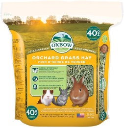 Orchard Grass