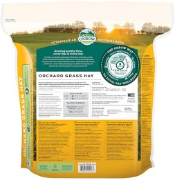 Orchard Grass
