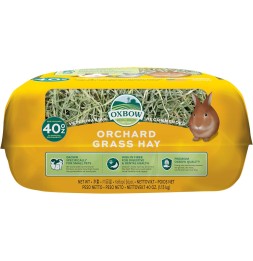 Orchard Grass